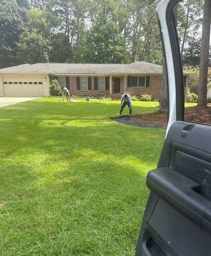 Gutter maintenance and cleaning project